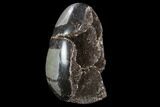 Bargain Septarian Dragon Egg Geode - Black Crystals #96027-2